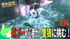 宮の桜牛 3周遅れの隻狼に挑む！